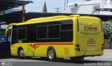 Autobuses de Barinas 001 por Andr�s Ascanio