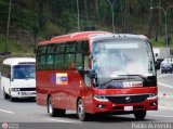 SENIAT 91 Yutong ZK6860D Yutong Integral