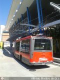 Trolmerida - Tromerca 33