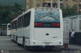 Organizacin Guaicamacuto 072