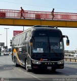 Alenca Tours 965