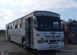 Transporte Unido (VAL - MCY - CCS - SFP) 080