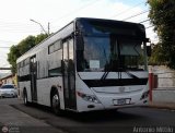 Uso Oficial  01, por Antonio Mittilo