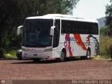 Turismos 50 Busscar Vissta Buss HI Oisa S60