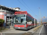 Trolmerida - Tromerca 26