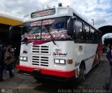 Uni�n de Conductores 87007 13-A