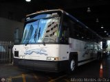 Greyhound 6599, por Alfredo Montes de Oca