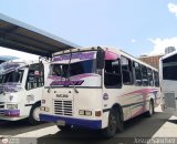 Cooperativa Innovacin Yarense 033, por Josue Snchez