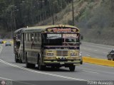 Transporte Guacara 0172 Blue Bird All Canadian Blue Bird Diesel 01