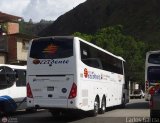 Expresos Occidente 361