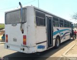 Colectivos Guasare C.A