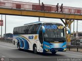E.T. Male�o VIP 946 por Leonardo Saturno