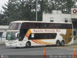 Aguila Dorada Bis 074, por Alfredo Montes de Oca