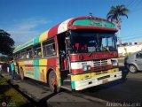Transporte Colectivo Palo Negro