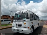 Transporte Nueva Generacin 0094, por Miguel Pino