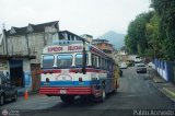 Expresos Delicias 40