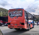 AR - Unin Coromoto 81