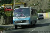 Unin de Conductores Los Caribes 83 Fanabus BimboBus Chevrolet - GMC P31 Nacional