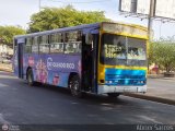 ZU - Colectivos La Limpia - La Estrella 042