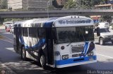 Transporte Privado Joaranny 191