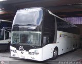 Expresos Amerlujo 421