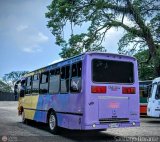 A.C. Transporte Independencia 101 por Santiago Dorante