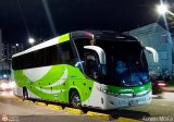 Turismos 310