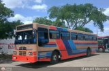 Colectivos Onoto 16 Encava E-1000-49 Encava Cummins Grande