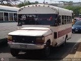 ZU - A.C. Curva - Torito 15