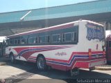 Expresos La Gran Colombia 02, por Sebastin Mercado