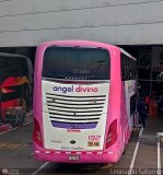 Tours Angel Divino S.A.C. (Per) 192