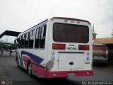 Transporte Virgen del Carmen 51