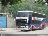 Expresos Occidente 167
