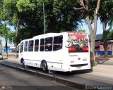 Ejecutivos Kova 087, por Josue Snchez