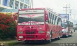 Transporte Unido (VAL - MCY - CCS - SFP) 018