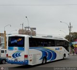 E.T. Maleo VIP (Per) 951