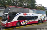 Expresos Occidente 321 por Alvin Rondn