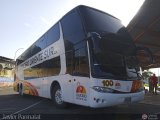 Cruceros Oriente Sur 100