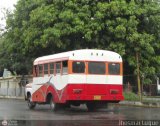 Transporte El Jaguito 07 Blue Bird Mini Bird Ford B-350
