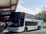 Expresos Los Llanos 206