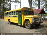 Universitarios y Escolares 01 Wayne Lifeguard Ford F-600