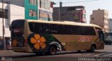 Transporte Flores Hermanos S.R.L (Per) 969,