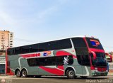 Expresos Pegamar 1308