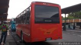 S.C. Lnea Qubor 98