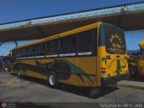 ZU - Colectivos Concepcin 024