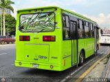 Coop. Transporte Menca de Leoni 039, por Alvin Rondn