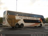 Aguila Dorada Bis 081