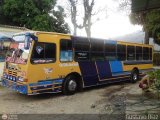 Transporte Valles Altos de Carabobo 144, por Gustavo Diaz