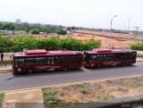 Bus MetroMara 9303