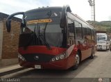 A.C. Transporte Paez 039 Yutong ZK6896HGA Yutong Integral ZK6896HGA